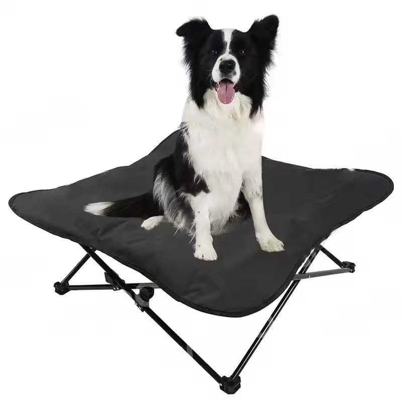 Hondenstretcher Opvouwbaar Zwart 69x69x20cm