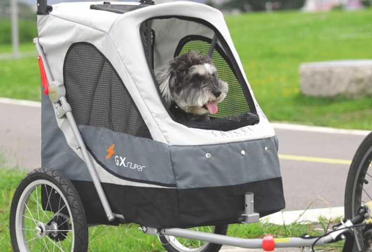 Buggy/Fietskar