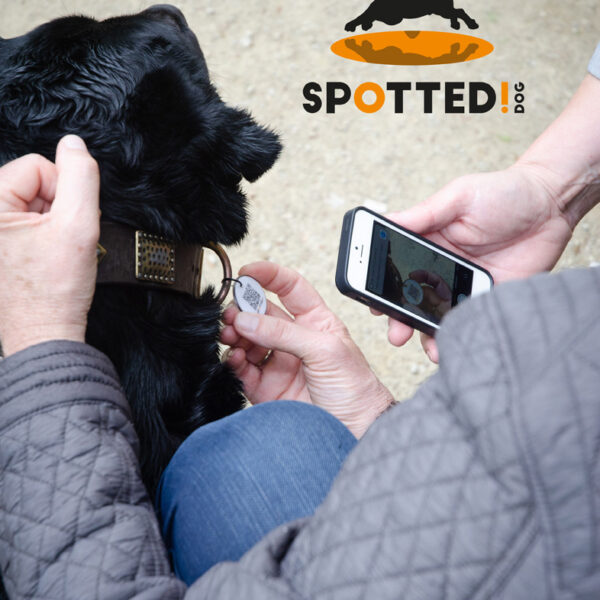Spotted Dog ID tag